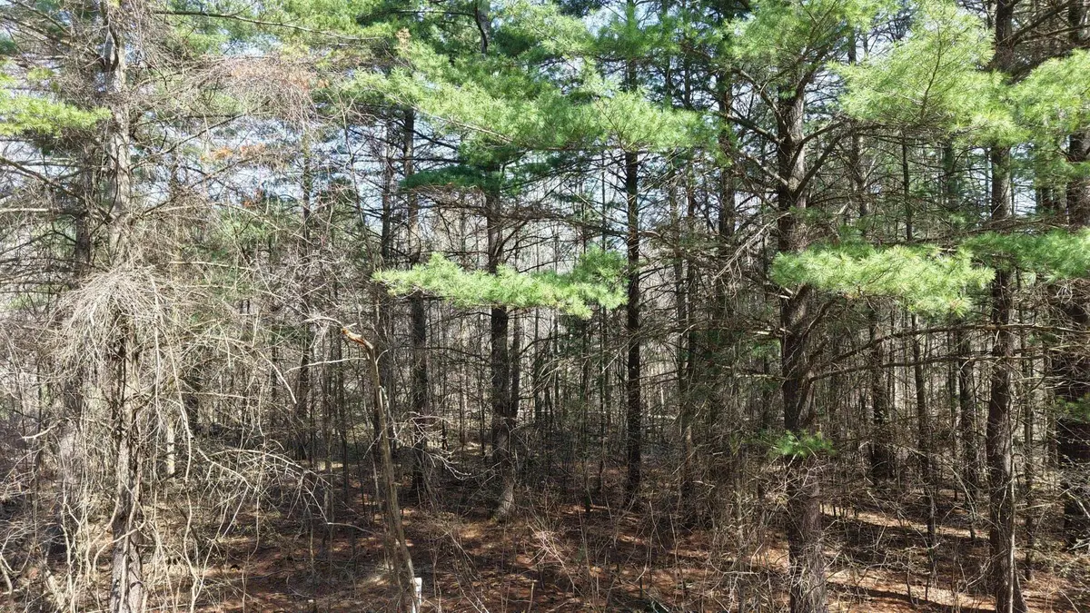 Salisbury, Gladwin, MI 48624 - #1