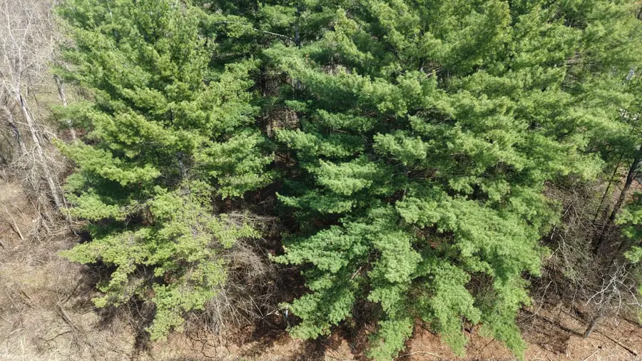 Salisbury, Gladwin, MI 48624 - #2