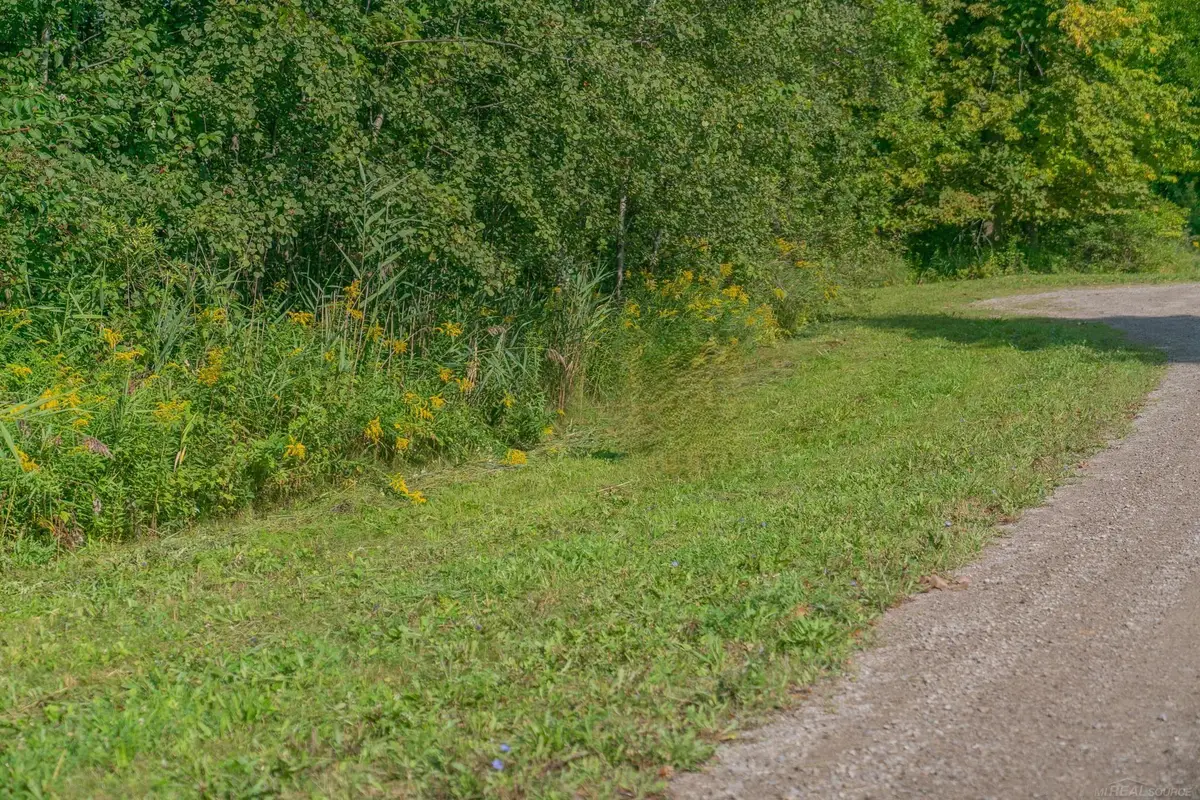 Lakeview, Harbor Beach, MI 48441 - #1