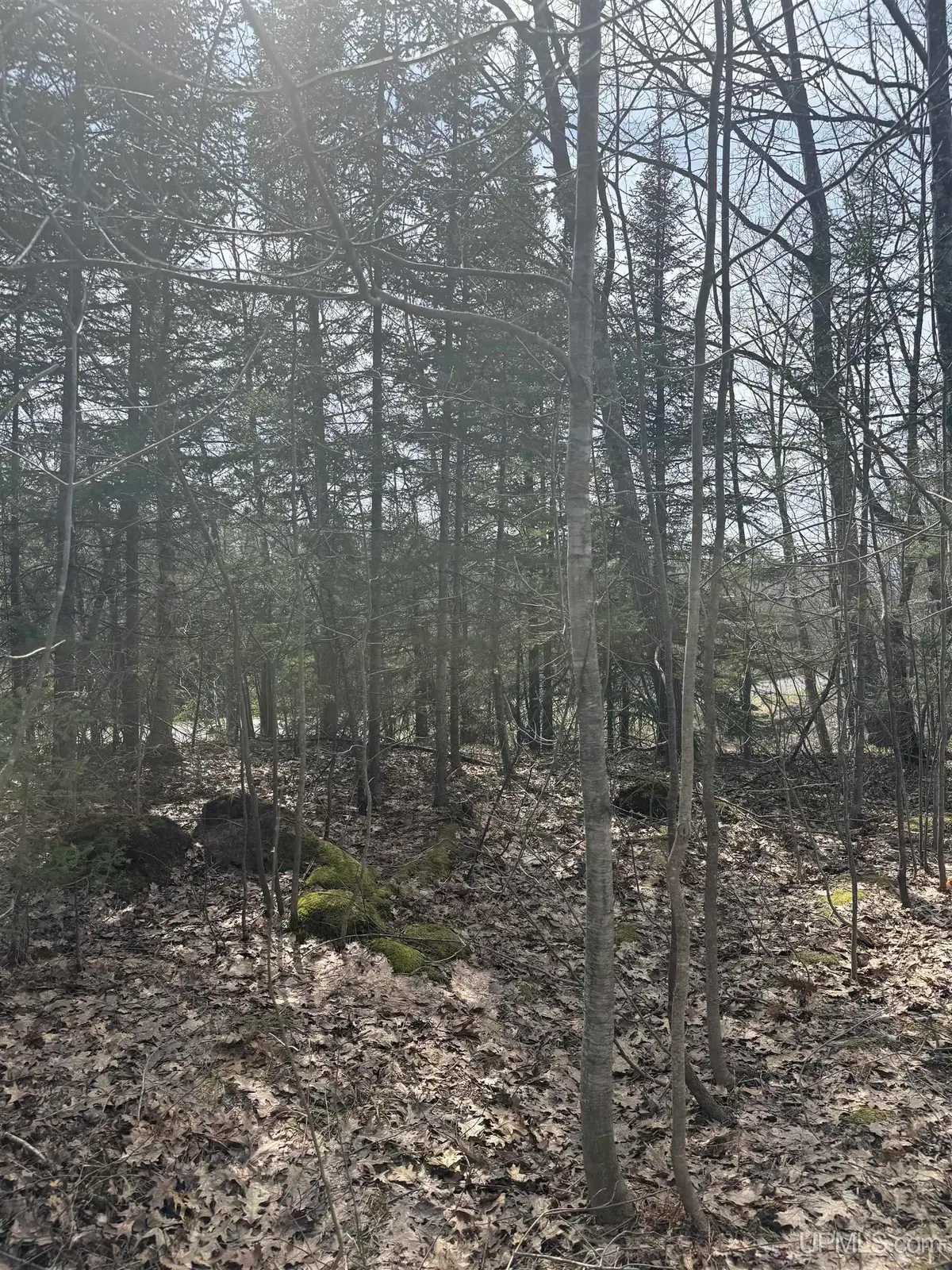 TBD 4-10 Firesteel, Ontonagon, MI 49953 - #1