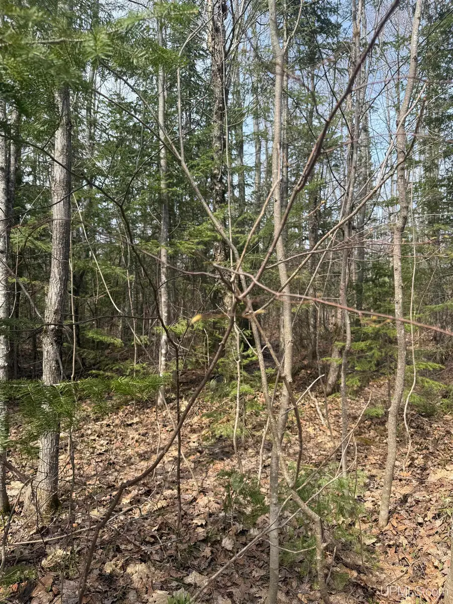 TBD 4-10 Firesteel, Ontonagon, MI 49953 - #2