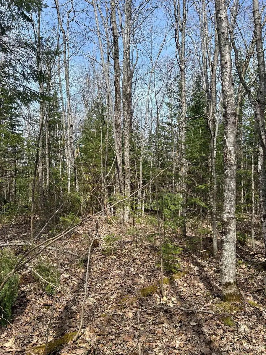 TBD 4-10 Firesteel, Ontonagon, MI 49953 - #3