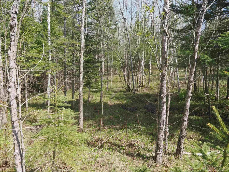 w15598 Hiawatha, Gould City, MI 49838 - #3