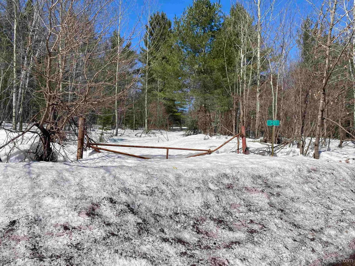 24220 Woodland, Calumet, MI 49913 - #1