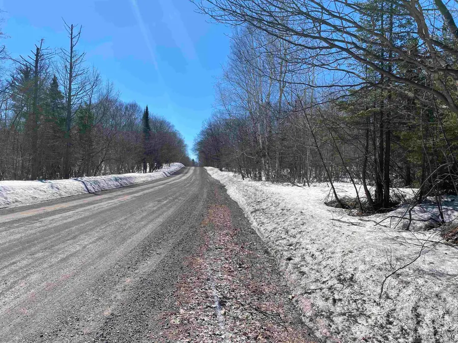 24220 Woodland, Calumet, MI 49913 - #2