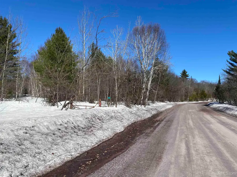 24220 Woodland, Calumet, MI 49913 - #3