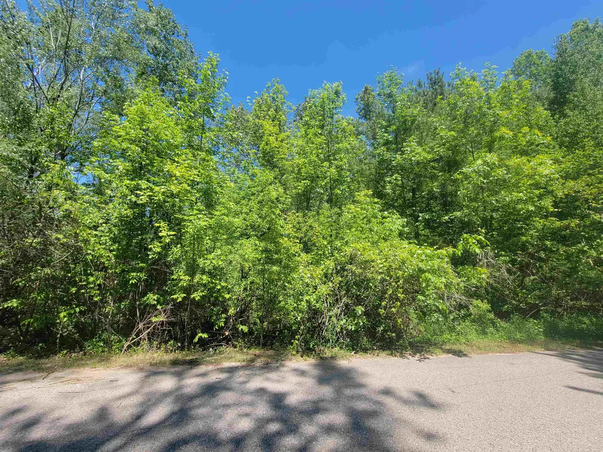 VL Maple, Gladwin, MI 48624 - #1