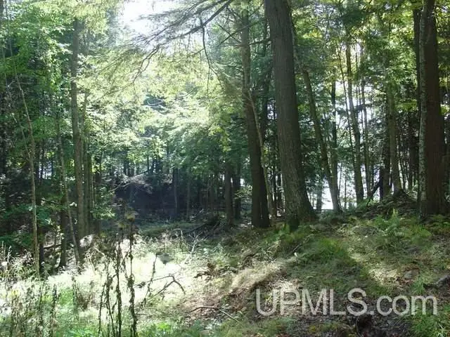 On Channel, Watersmeet, MI 49969 - #2