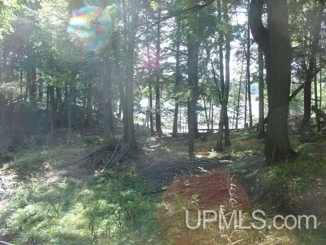 On Channel, Watersmeet, MI 49969 - #3