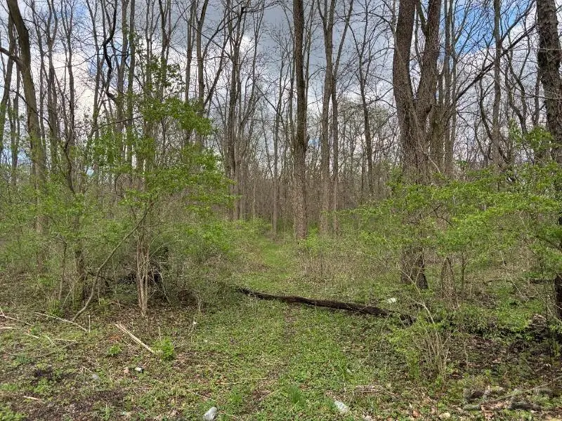 0 Black, Adrian, MI 49221 - #2