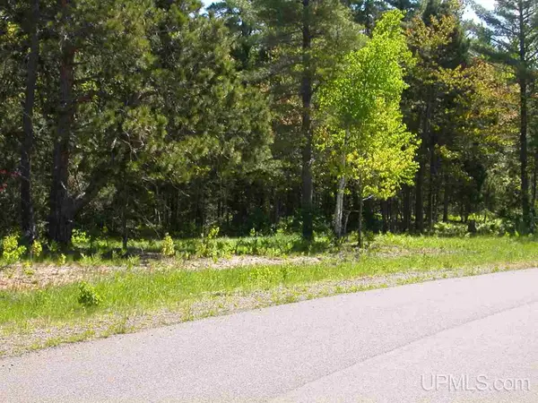 Lot 2 S Eliza Creek, Eagle Harbor, MI 49950