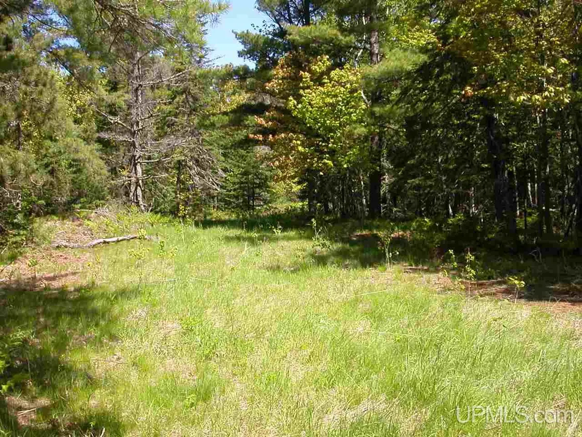 Lot 29 N Eliza Creek, Eagle Harbor, MI 49950 - #1