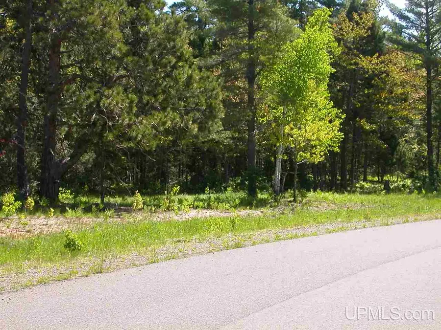 Lot 29 N Eliza Creek, Eagle Harbor, MI 49950 - #2