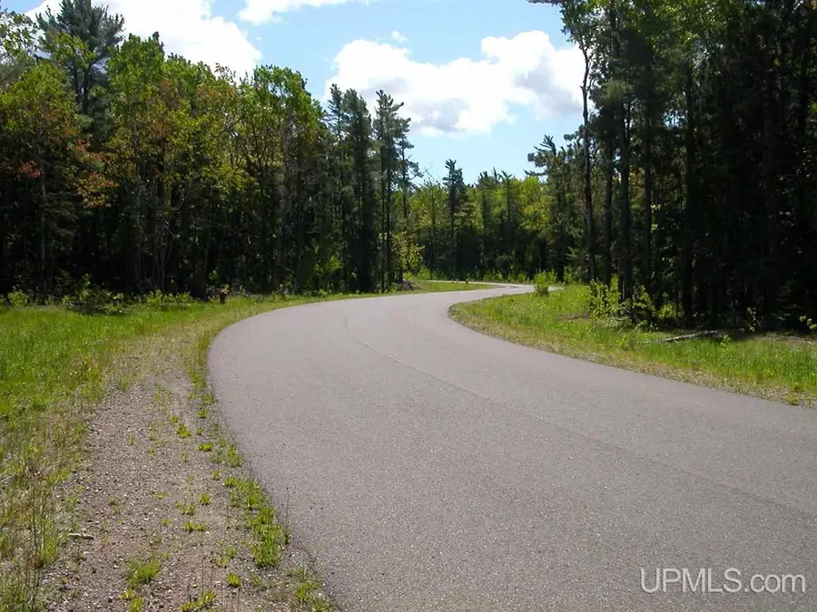 Lot 29 N Eliza Creek, Eagle Harbor, MI 49950 - #3