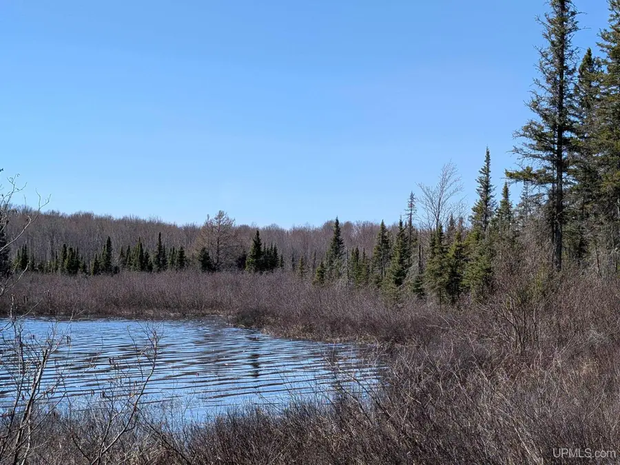 8 acres E Cable Lake, Amasa, MI 49903 - #2