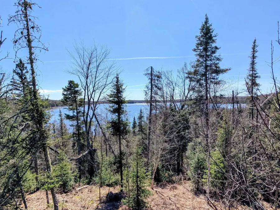 8 acres E Cable Lake, Amasa, MI 49903 - #3