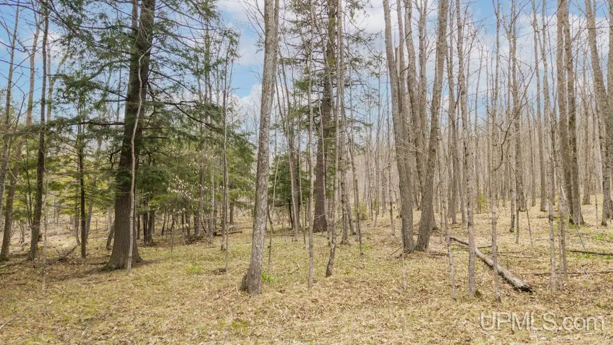 TBD Hupp, Vulcan, MI 49892 - #1
