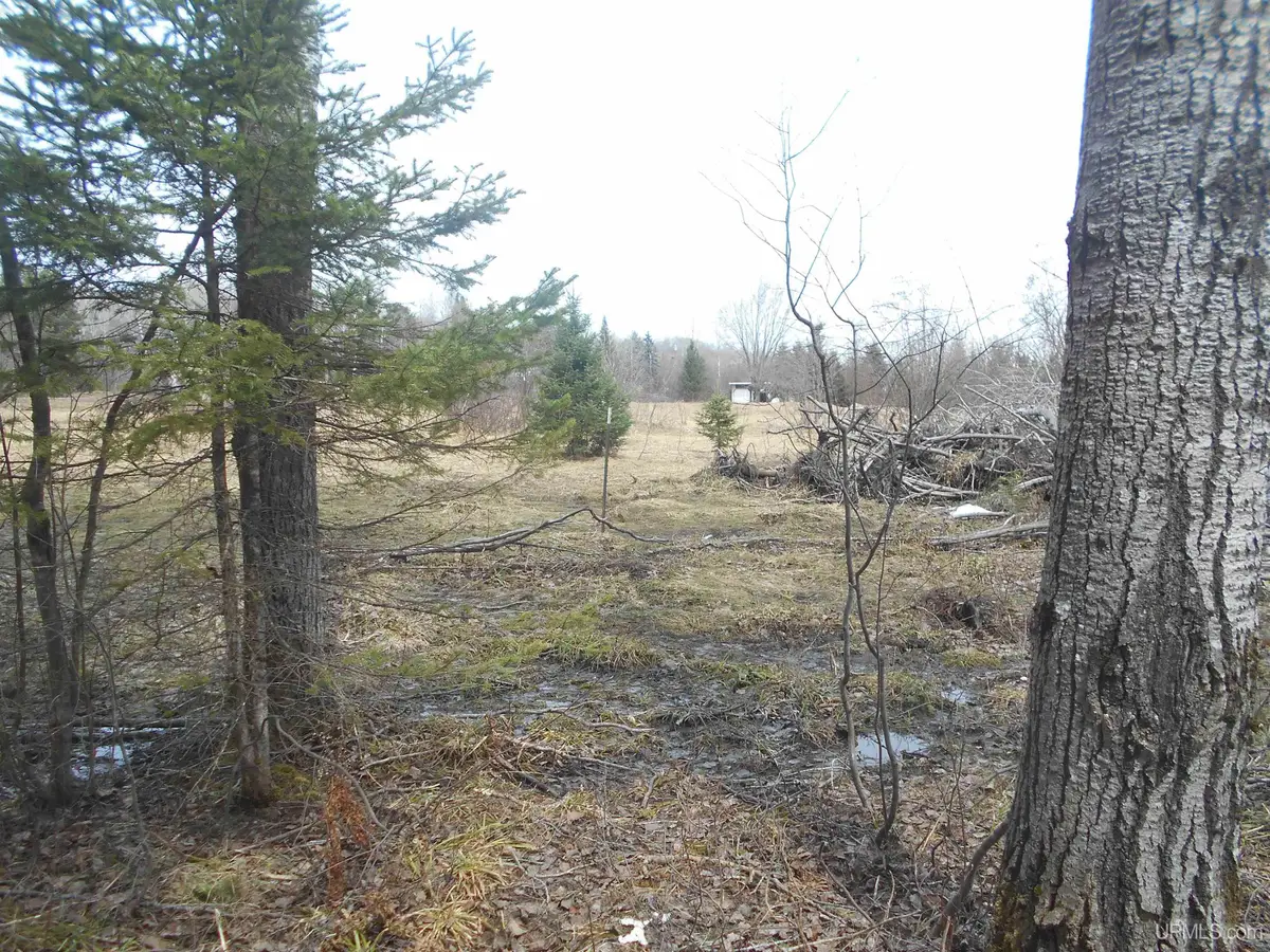 0 Lower Worham, Chassell, MI 49916 - #1