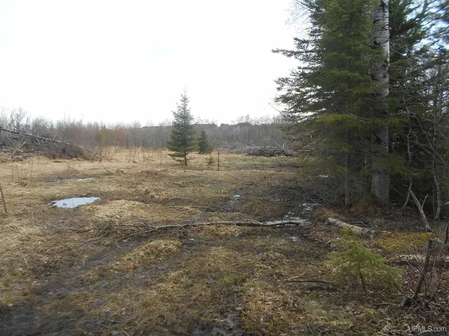 0 Lower Worham, Chassell, MI 49916 - #3