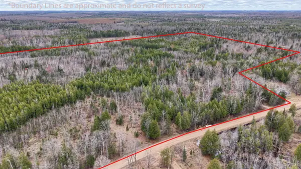 TBD Co Rd Sae, Cornell, MI 49818