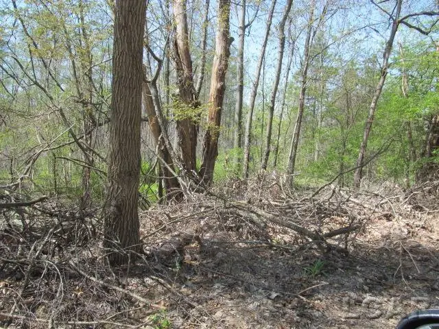 Fairview, Jackson, MI 49201 - #2
