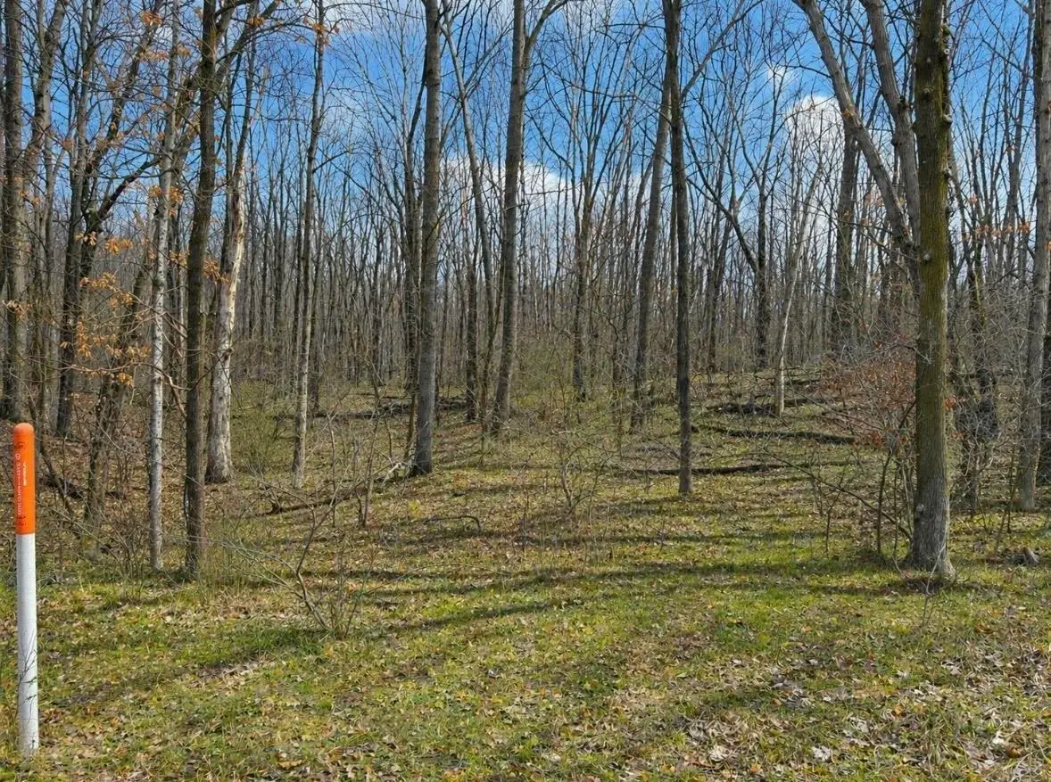 Lot 4 White Birch, Farwell, MI 48622 - #1