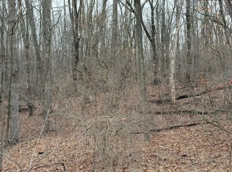 Lot 4 White Birch, Farwell, MI 48622 - #2