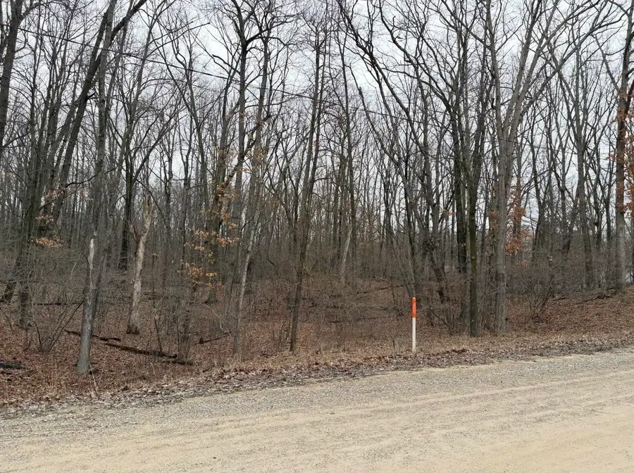 Lot 4 White Birch, Farwell, MI 48622 - #3