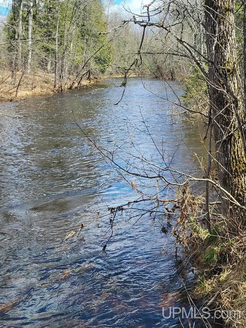 Lot #6 Northwoods, Hardwood, MI 49834 - #1