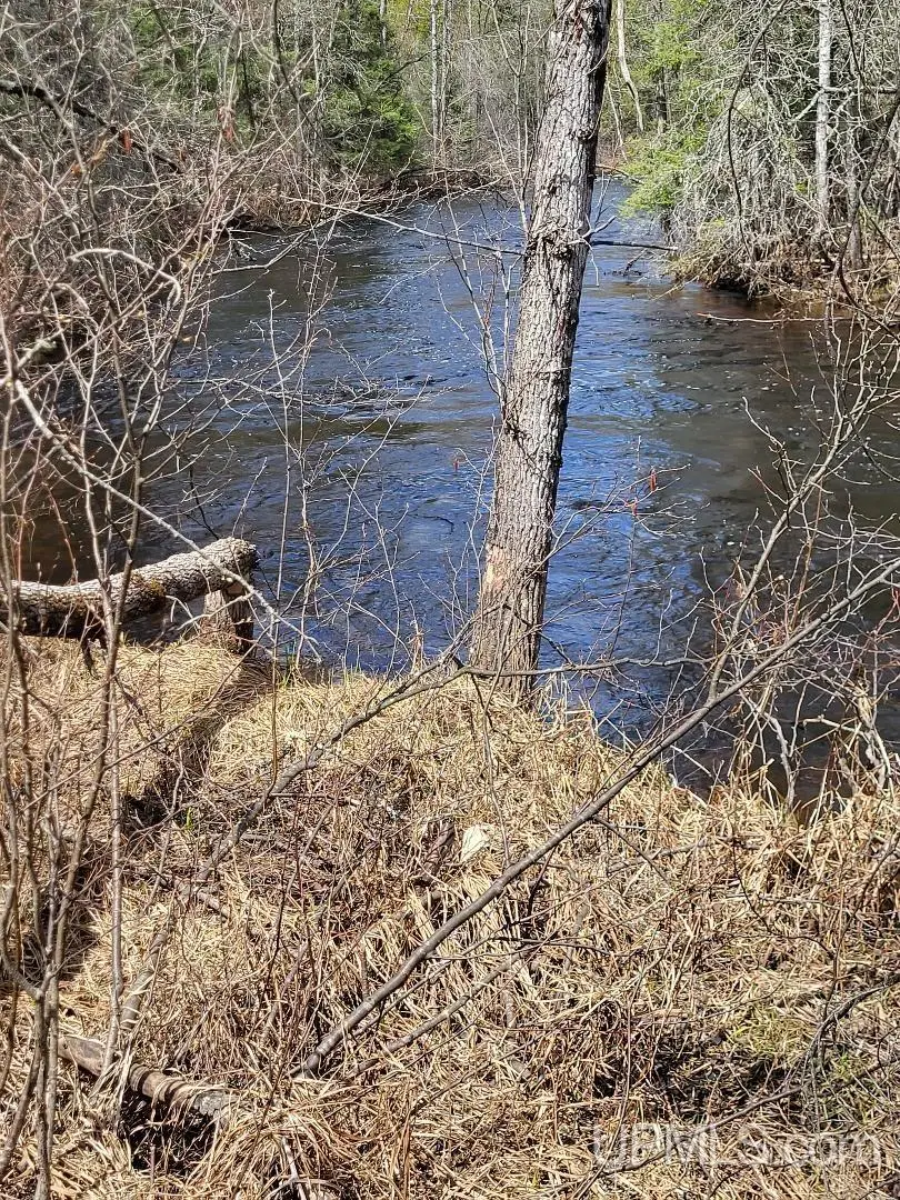 Lot #6 Northwoods, Hardwood, MI 49834 - #2