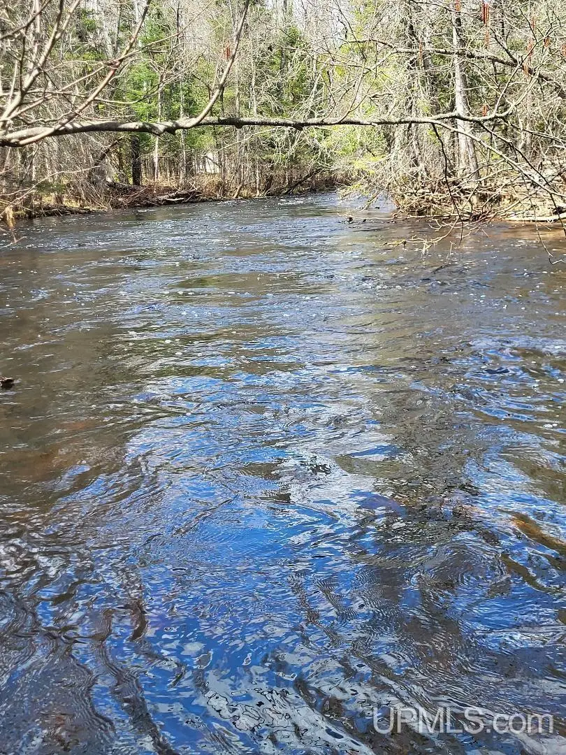 Lot #6 Northwoods, Hardwood, MI 49834 - #3