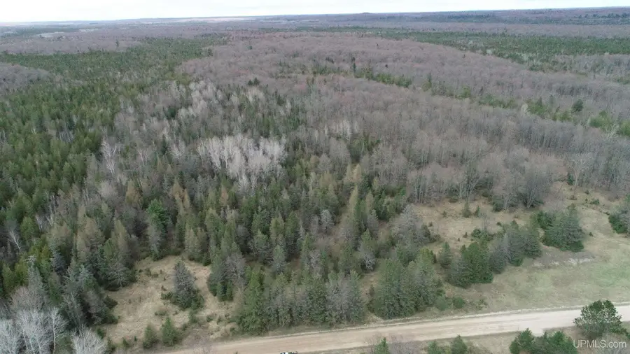 TBD 38th, Rapid River, MI 49878 - #3