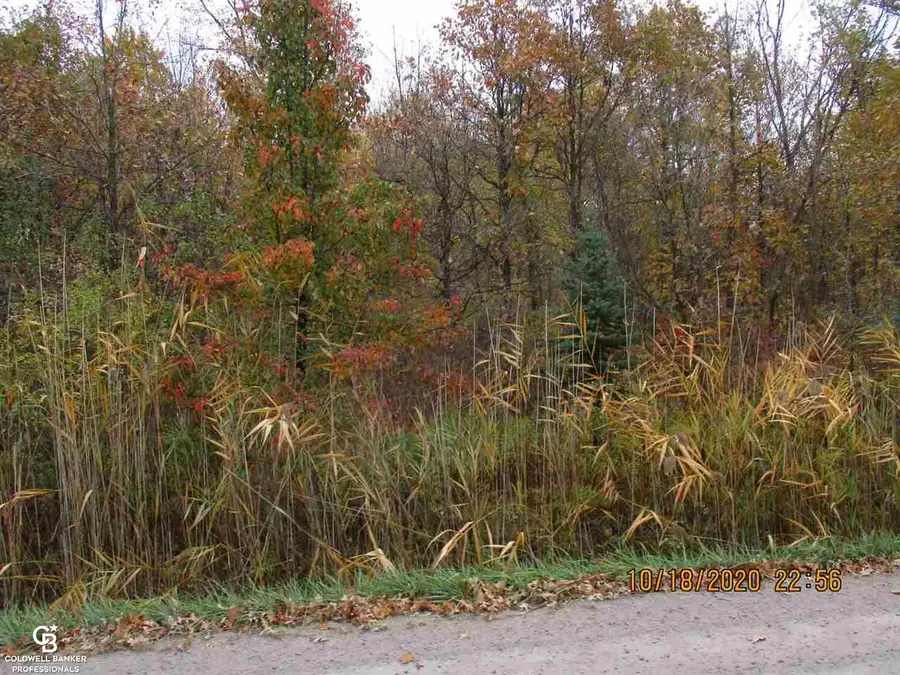 00 Place Rd Parcel G 2.2, Lenox, MI 48050 - #2