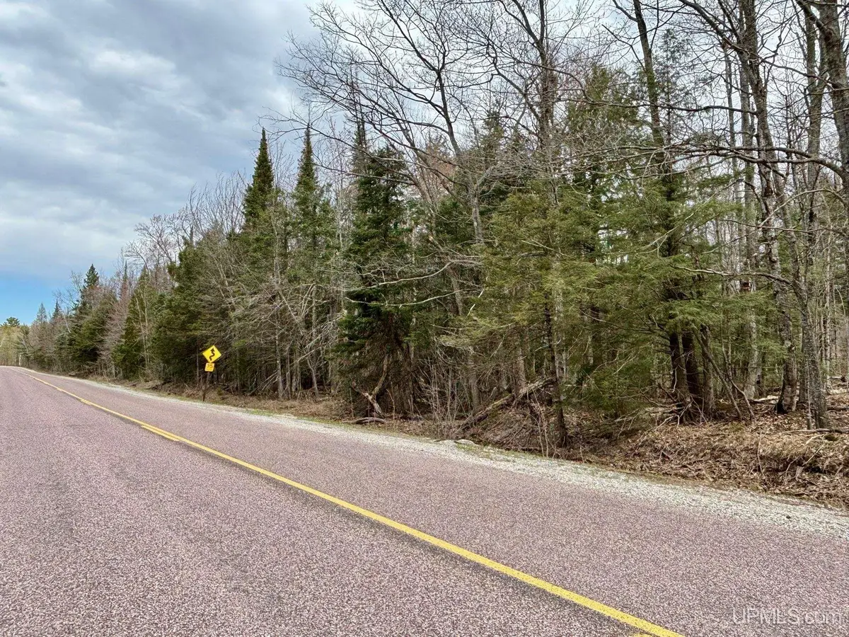 TBD N Carlshend, Skandia, MI 49885 - #1