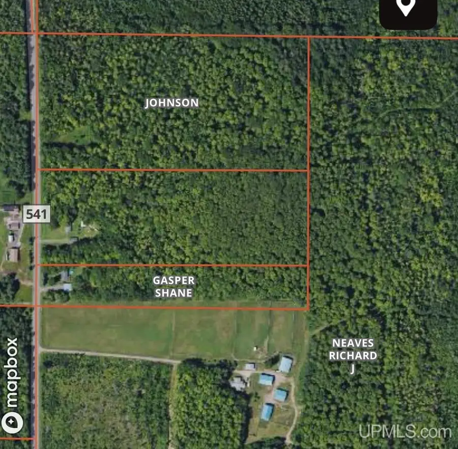391 N Carlshend, Skandia, MI 49885 - #2