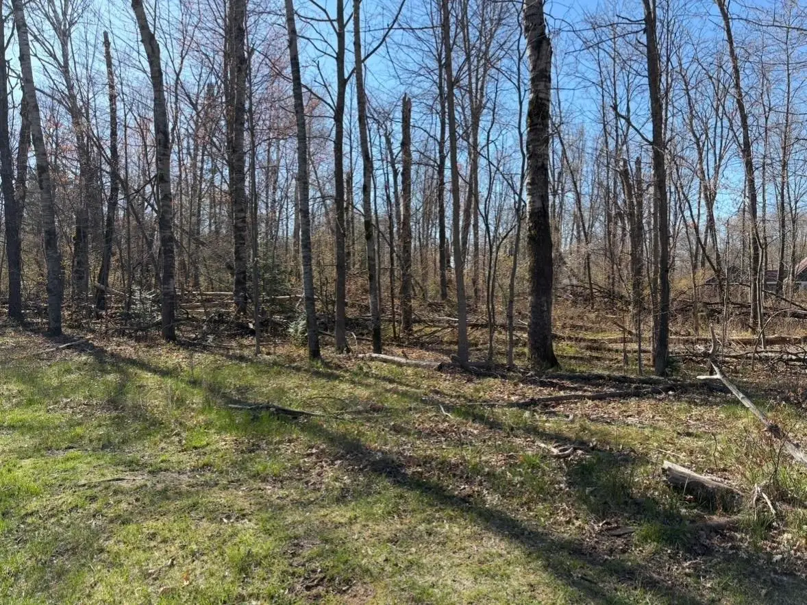 lot 183-186 Shadowbrook, Lake, MI 48632 - #1
