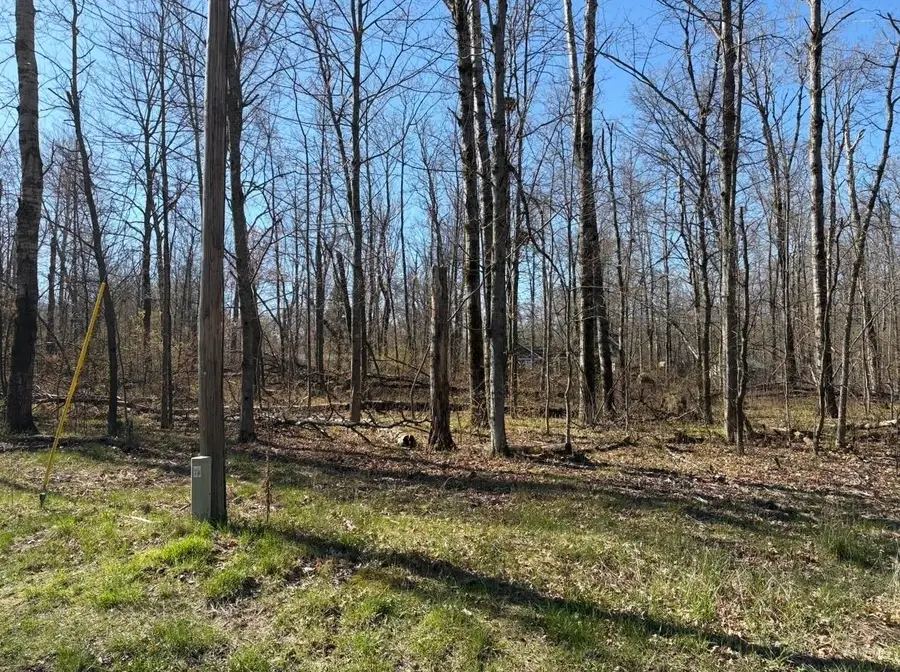lot 183-186 Shadowbrook, Lake, MI 48632 - #3