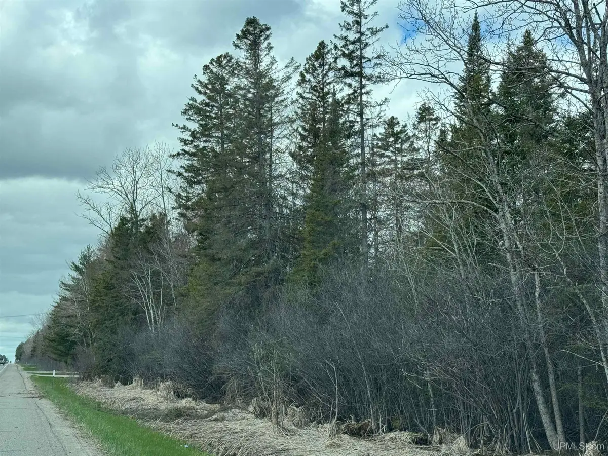 TBD Us 2, Escanaba, MI 49829 - #1