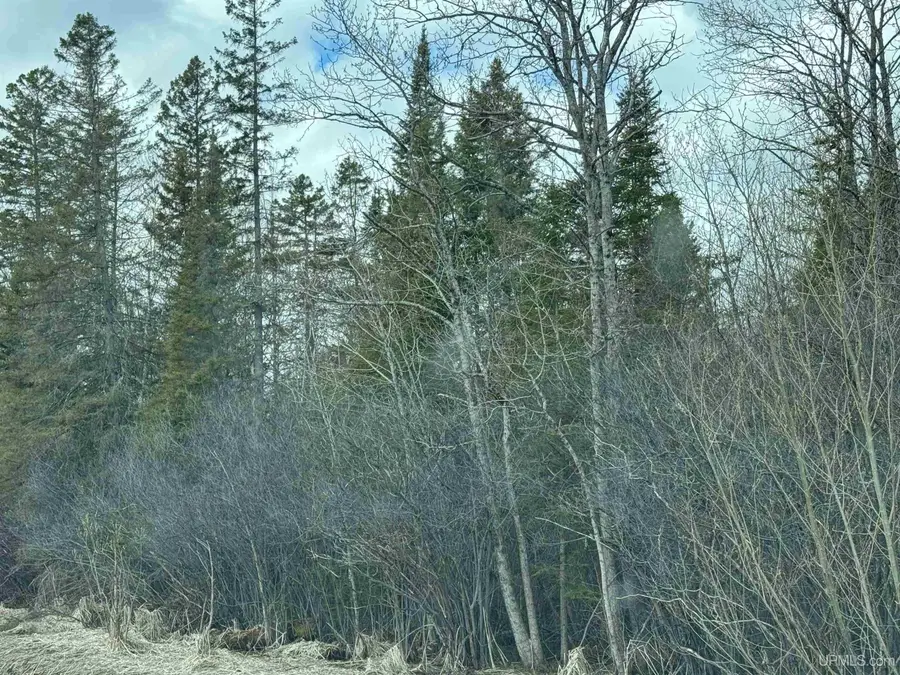 TBD Us 2, Escanaba, MI 49829 - #3