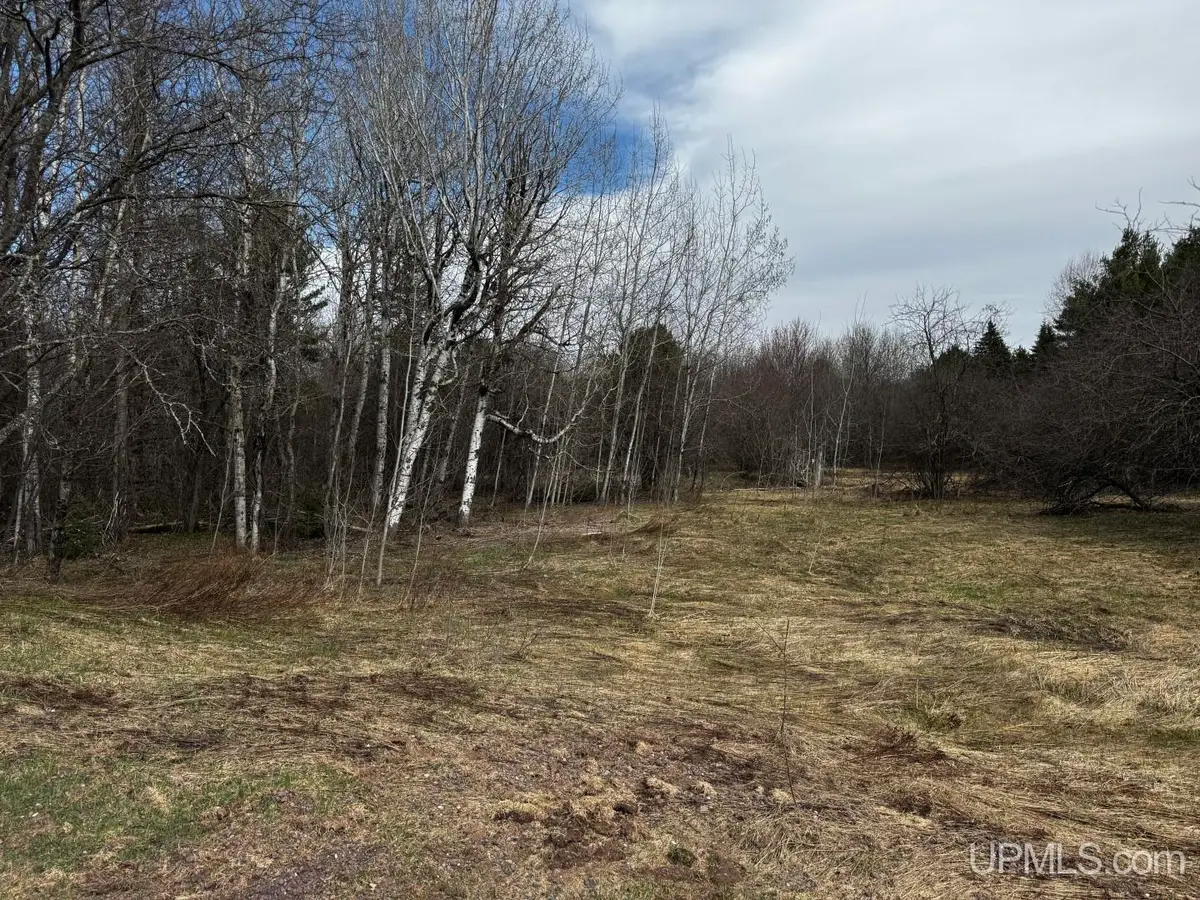 TBD Off M38, Ontonagon, MI 49953 - #1