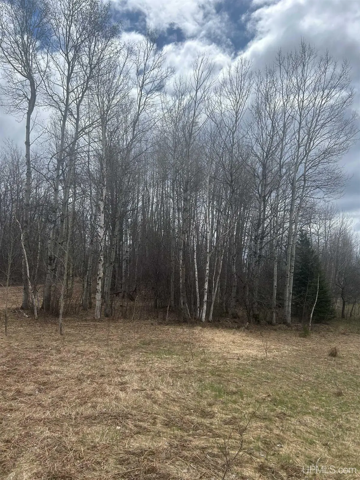 TBD 10-1 Mill Pond, Trout Creek, MI 49967 - #1