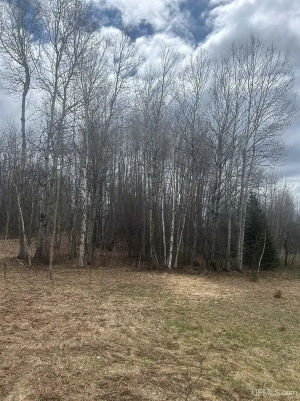 TBD 10-1 Mill Pond, Trout Creek, MI 49967