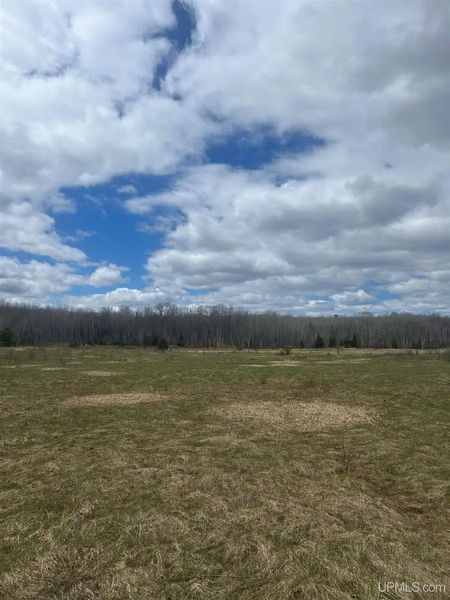 TBD 10-1 Mill Pond, Trout Creek, MI 49967 - #3