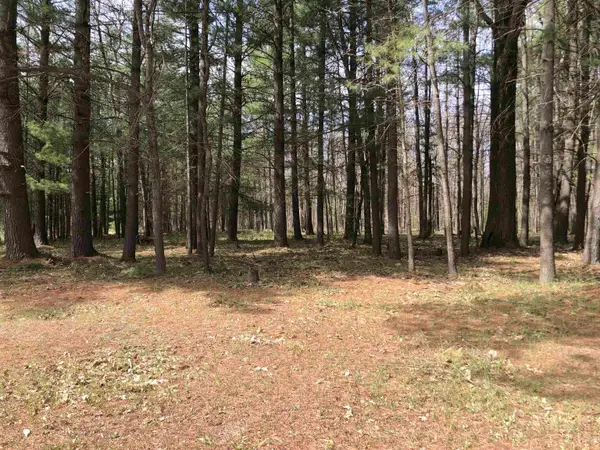 TBD W Eight Point Lake, Lake, MI 48632