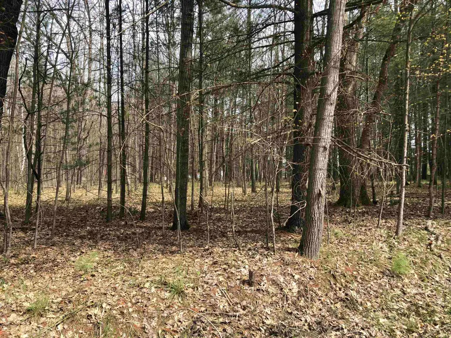 TBD W Eight Point Lake, Lake, MI 48632 - #2