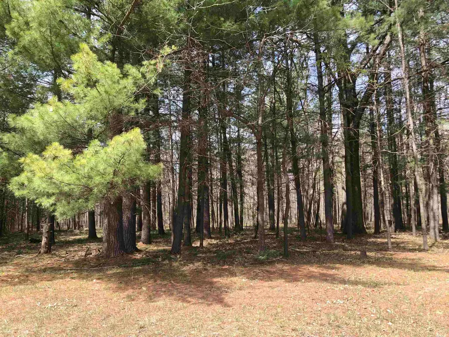 TBD W Eight Point Lake, Lake, MI 48632 - #3