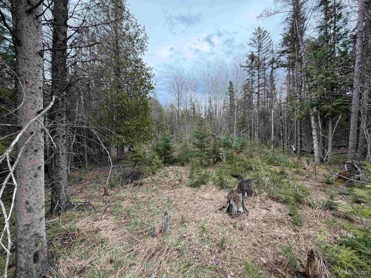 TBD Old Us 41, Trenary, MI 49891 - #1