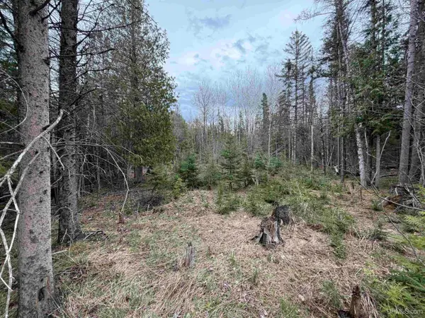 TBD Old Us 41, Trenary, MI 49891