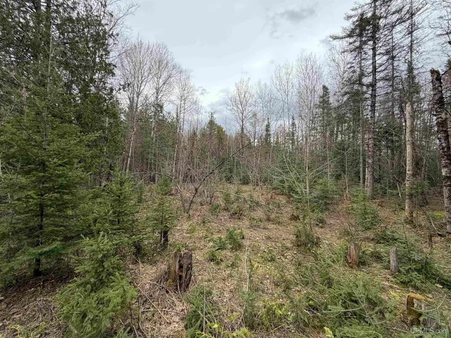 TBD Old Us 41, Trenary, MI 49891 - #2
