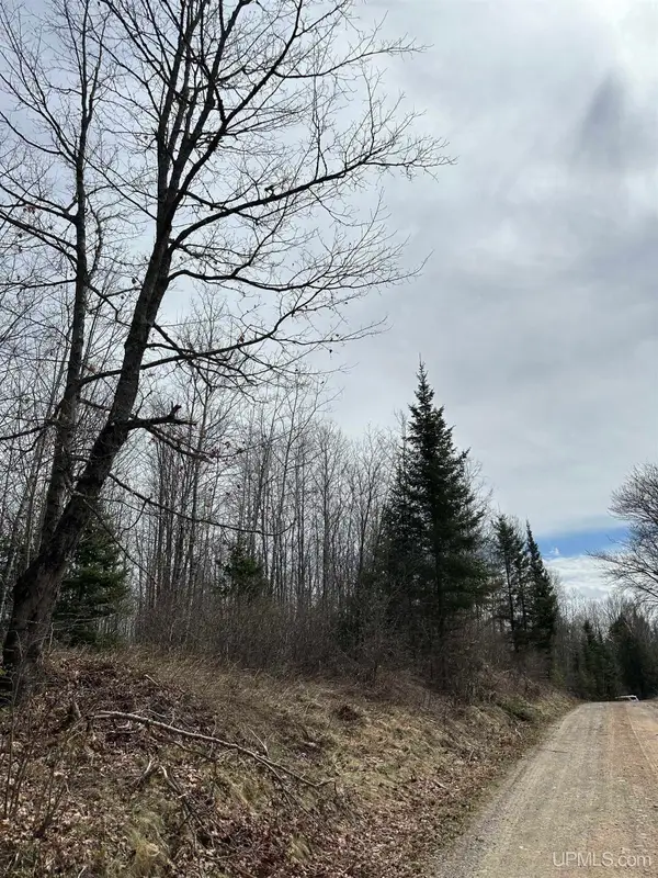 TBD Net River, Crystal Falls, MI 49920